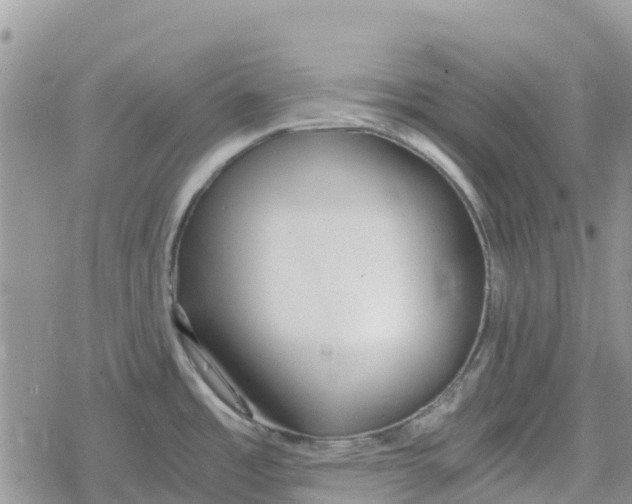 X0000078281485200611251406