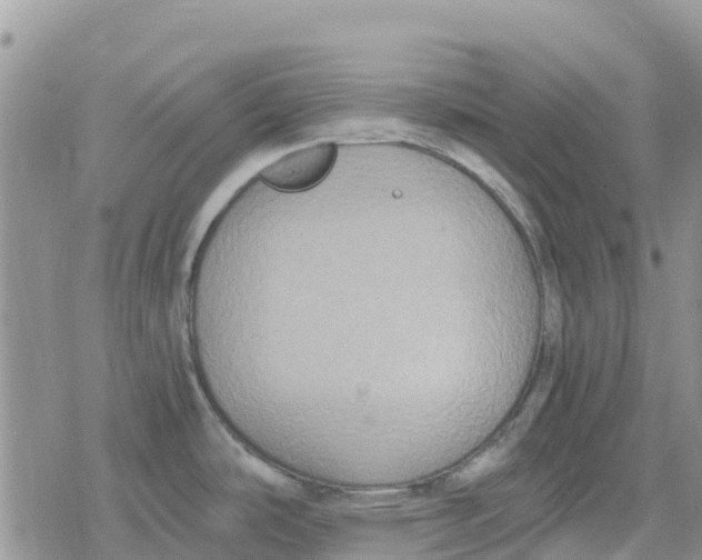 X0000078281486200611251406