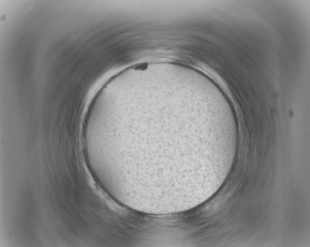 X0000078281488200611251406