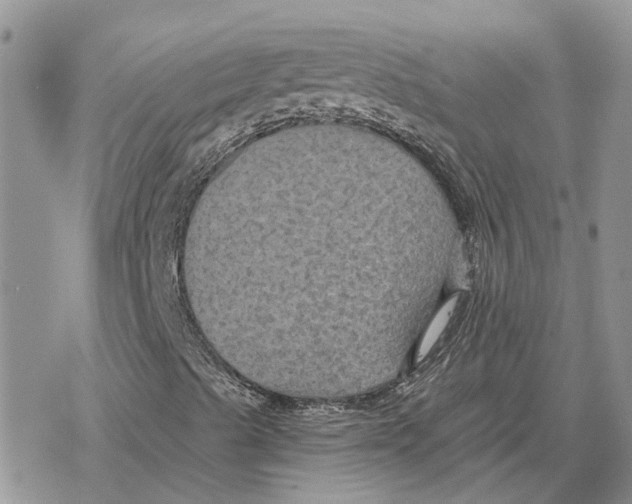 X0000078281489200611251405