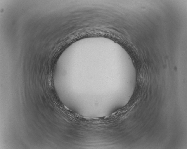 X0000078281490200611251405