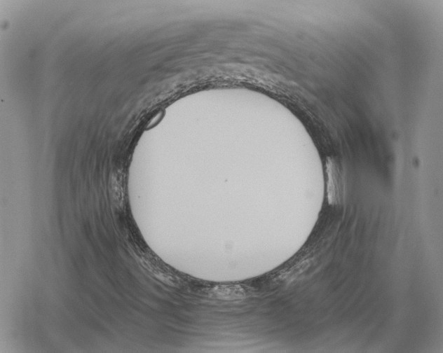 X0000078281491200611251405