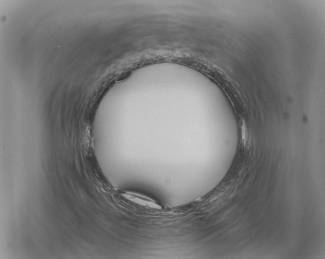 X0000078281492200611251405