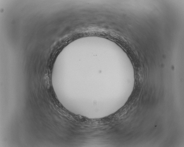 X0000078281493200611251405