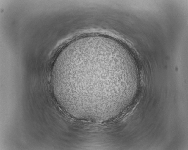 X0000078281494200611251405