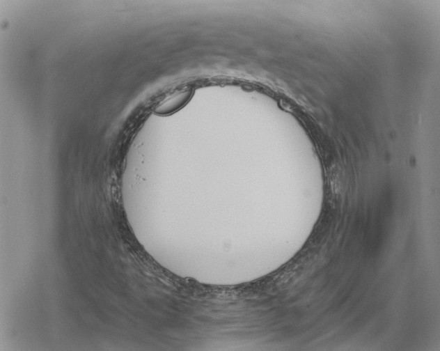 X0000078281495200611251405