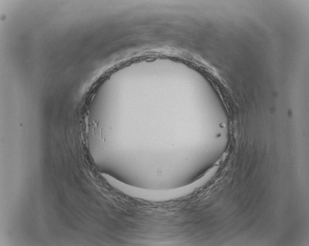 X0000078281496200611251405