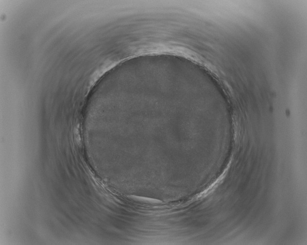 X0000078281497200611251405