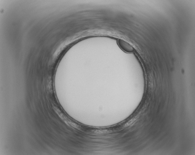 X0000078281499200611251405