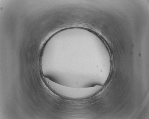 X0000078281500200611251405