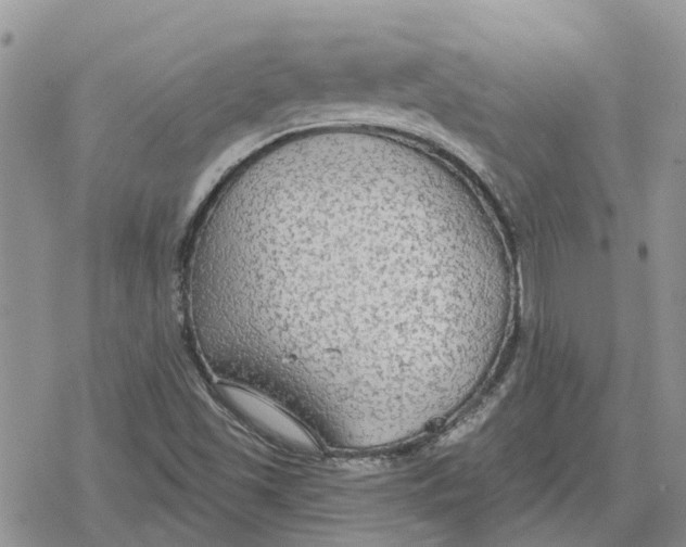 X0000078281501200611251405