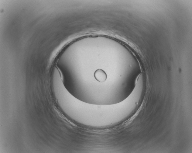 X0000078281502200611251405