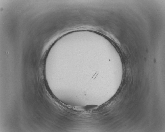 X0000078281504200611251405