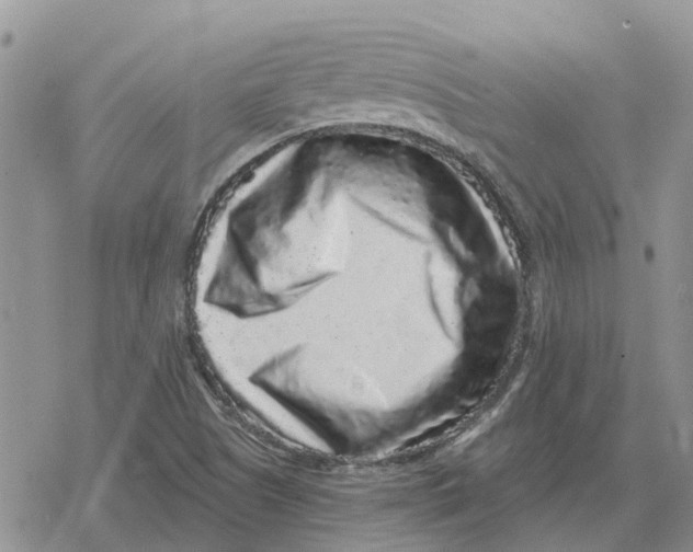 X0000078281505200611251405