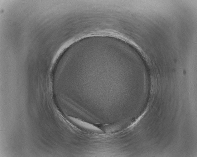 X0000078281506200611251405