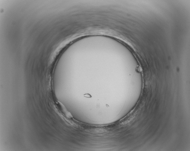 X0000078281507200611251405