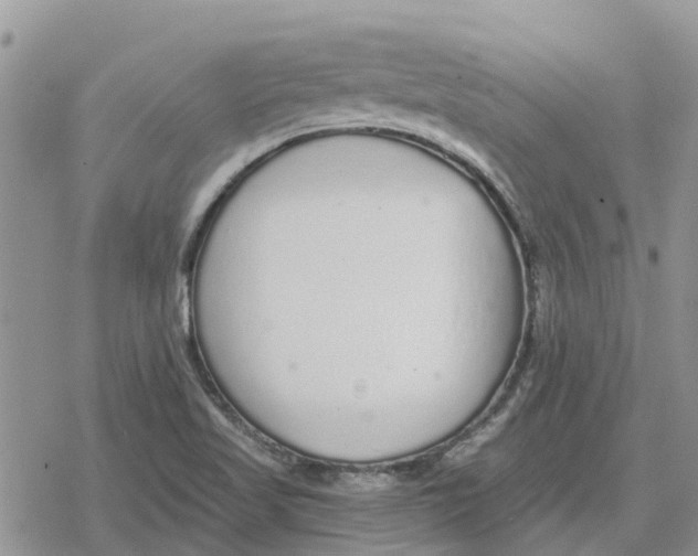 X0000078281509200611251405