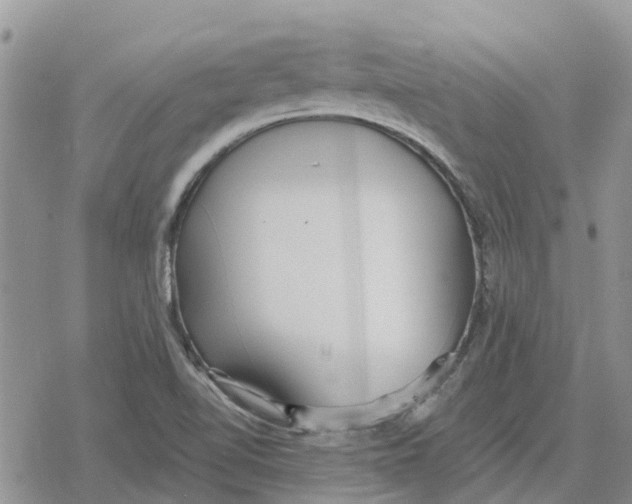 X0000078281510200611251405