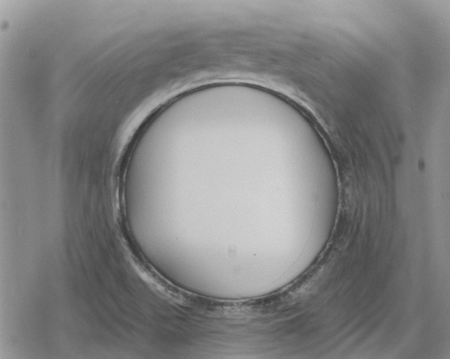 X0000078281511200611251405