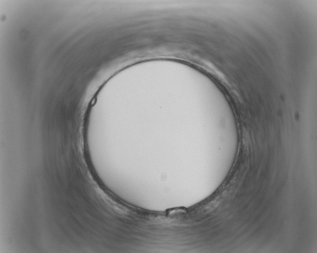 X0000078281512200611251405