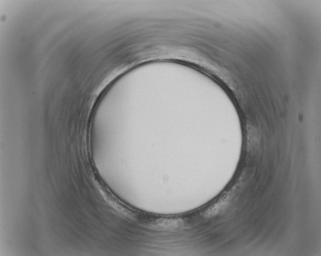 X0000078281513200611251405