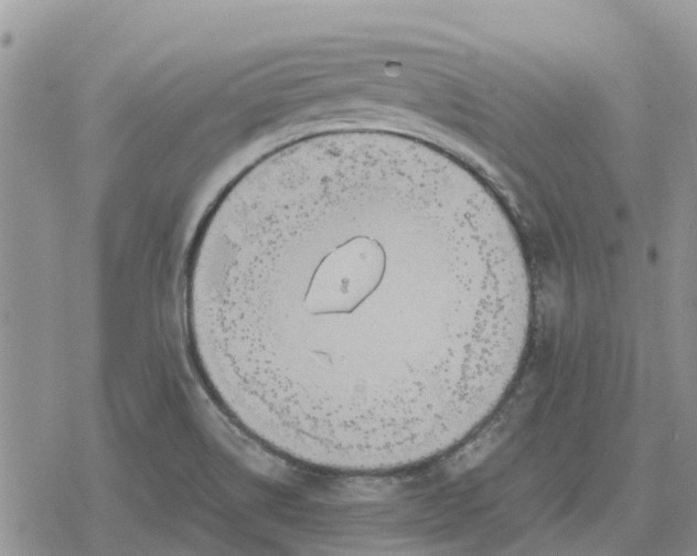 X0000078281514200611251405