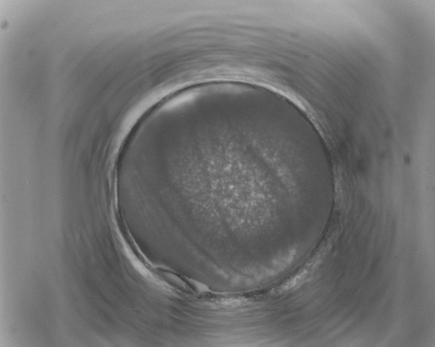 X0000078281515200611251405