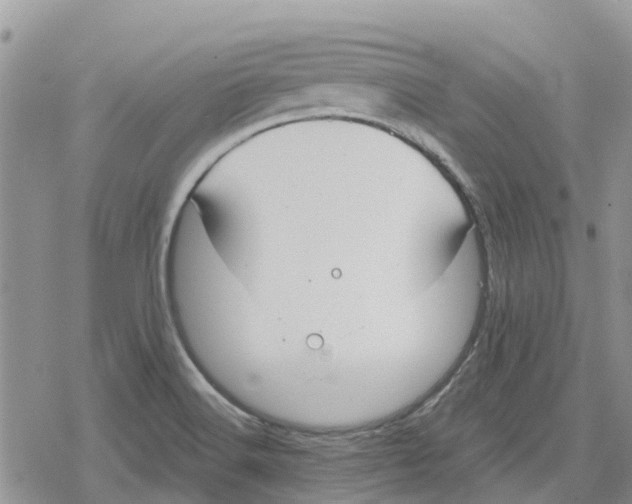 X0000078281516200611251405