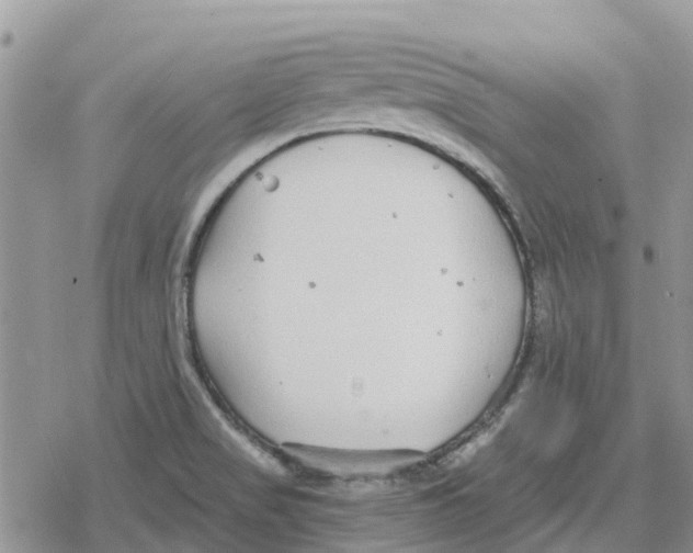 X0000078281517200611251405