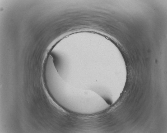 X0000078281518200611251405