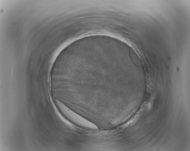 X0000078281519200611251405