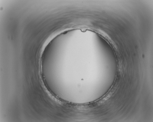 X0000078281520200611251405