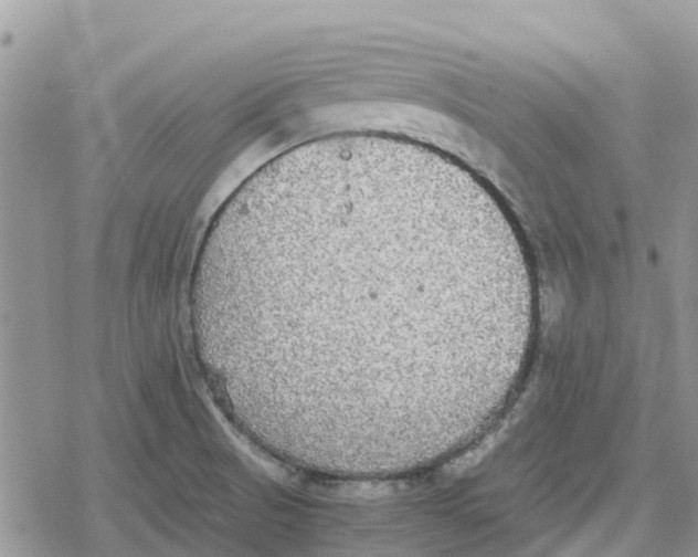 X0000078281521200611251405