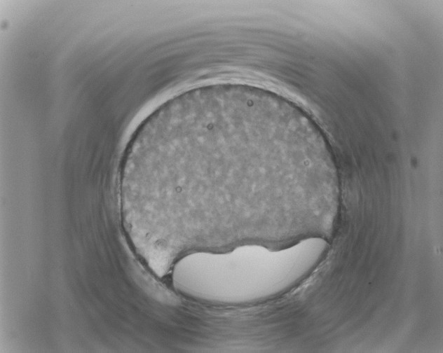 X0000078281522200611251405