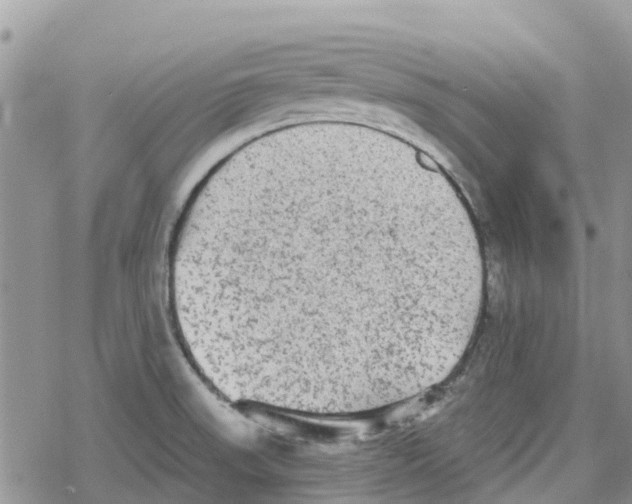 X0000078281523200611251405