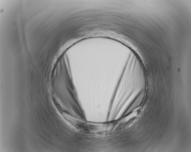 X0000078281525200611251405