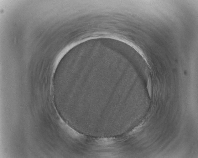 X0000078281527200611251405