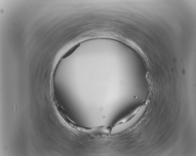 X0000078281528200611251405