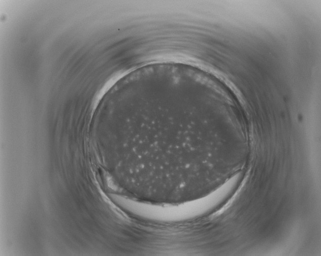 X0000078281529200611251405