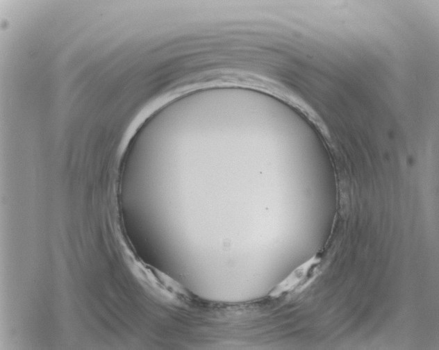 X0000078281530200611251405