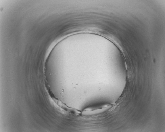 X0000078281532200611251405