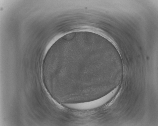 X0000078281533200611251405