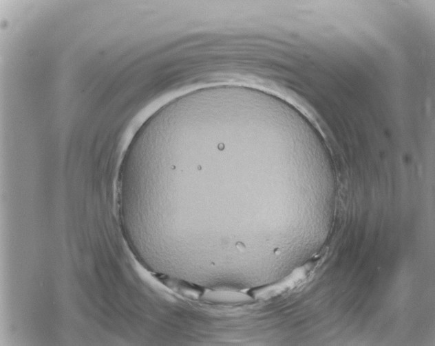 X0000078281535200611251406