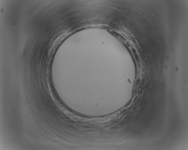 X0000078280001200612011756