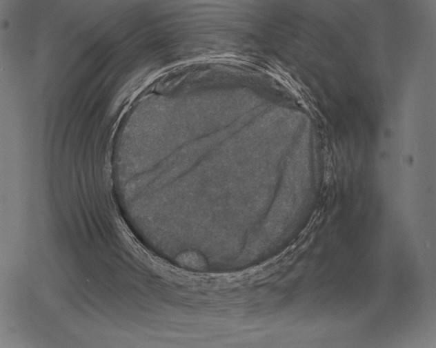 X0000078280002200612011756