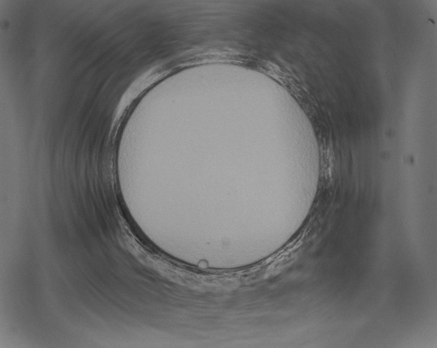 X0000078280004200612011756