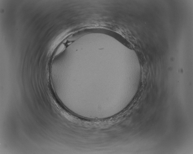 X0000078280005200612011756