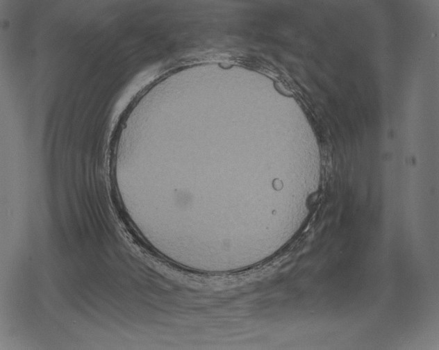 X0000078280006200612011756