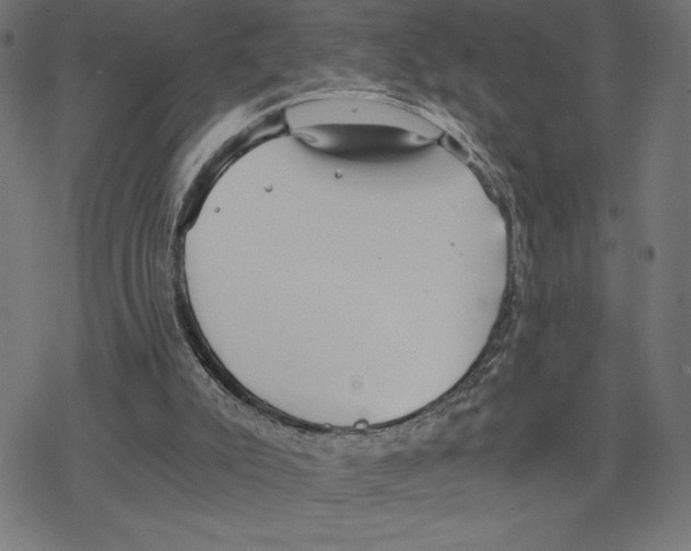 X0000078280007200612011756