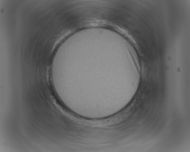 X0000078280010200612011755